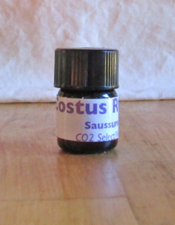 costus root co2 extract 2