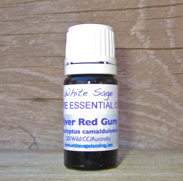 River Red Gum Essential Oil River Red Gum Essential Oil 5 ml