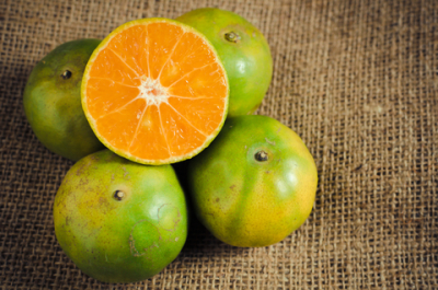 green mandarin essential oil 2