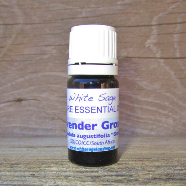 Lavender Grosso Essential Oil 5 ml