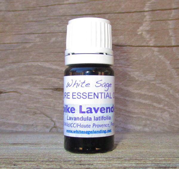 Spike Lavender Essential Oil 5 ml