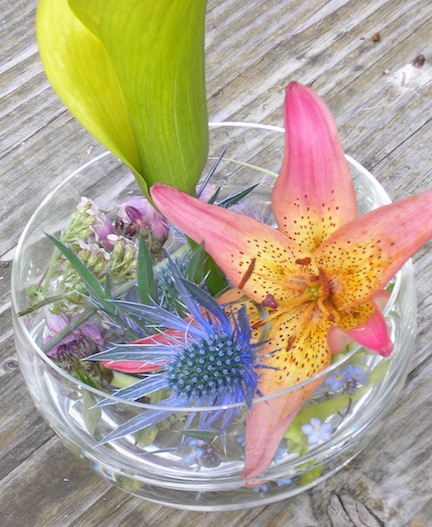 DiamondHeart Flower Essences-Dosage Level DiamondHeart Flower Essence 2